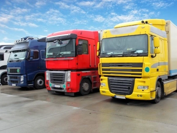 Bursa Dikili Nakliye